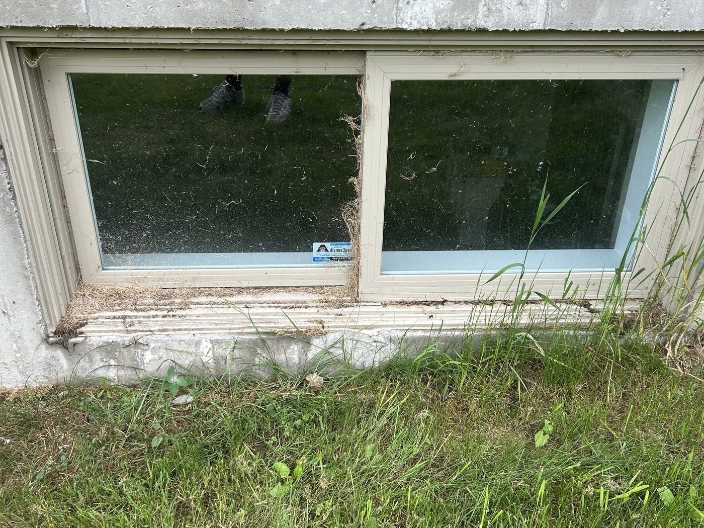 Fenêtre de sous-sol — fondation — avant